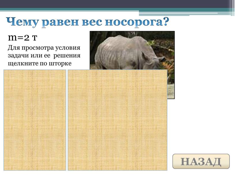 Чему равен вес носорога? Для просмотра условия задачи или ее решения щелкните по шторке