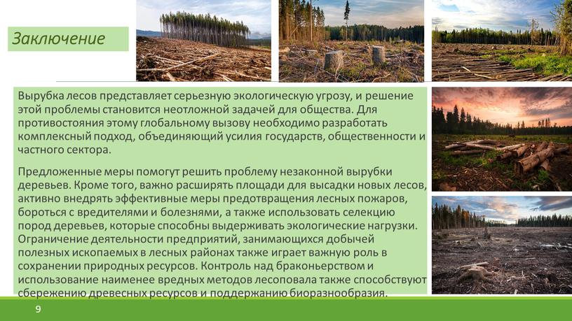 Заключение Вырубка лесов представляет серьезную экологическую угрозу, и решение этой проблемы становится неотложной задачей для общества