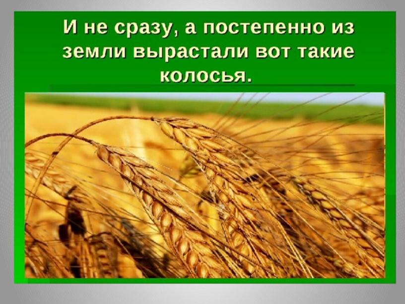 Презентация по финансовой грамотности "Хлеб - драгоценность!", "Как к нам стакан молока пришел?"