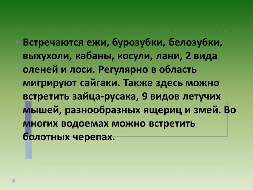 Встречаются ежи, бурозубки, белозубки, выхухоли, кабаны, косули, лани, 2 вида оленей и лоси