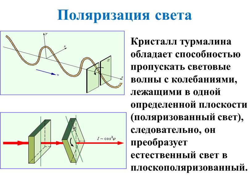 Поляризация света Кристалл турмалина обладает способностью пропускать световые волны с колебаниями, лежащими в одной определенной плоскости (поляризованный свет), следовательно, он преобразует естественный свет в плоскополяризованный