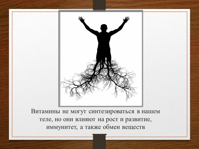 Витамины не могут синтезироваться в нашем теле, но они влияют на рост и развитие, иммунитет, а также обмен веществ