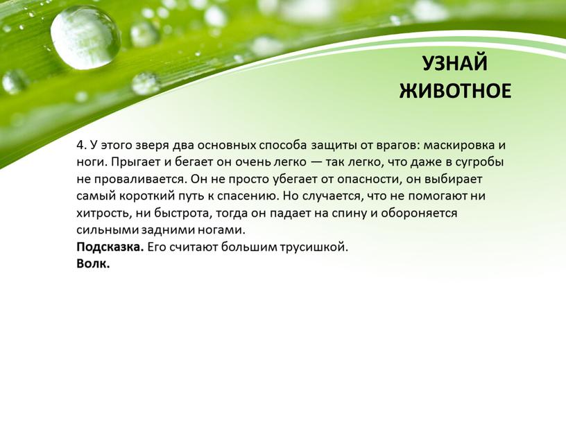 УЗНАЙ ЖИВОТНОЕ 4. У этого зверя два основных способа защиты от врагов: маскировка и ноги