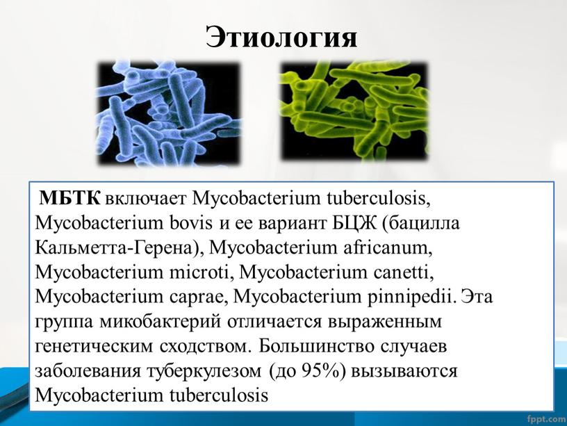 МБТК включает Mycobacterium tuberculosis,