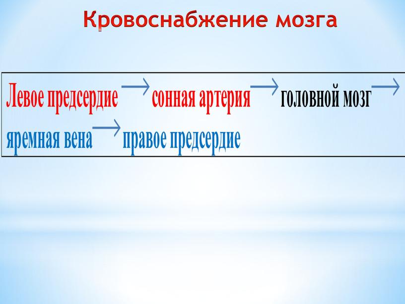 Кровоснабжение мозга