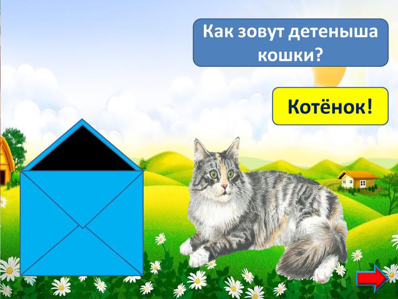 Как зовут детеныша кошки? Котёнок!