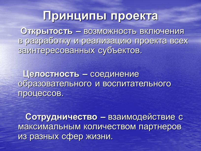 Принципы проекта Открытость – возможность включения в разработку и реализацию проекта всех заинтересованных субъектов