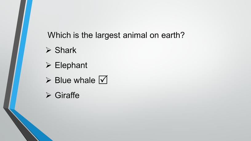 Which is the largest animal on earth?