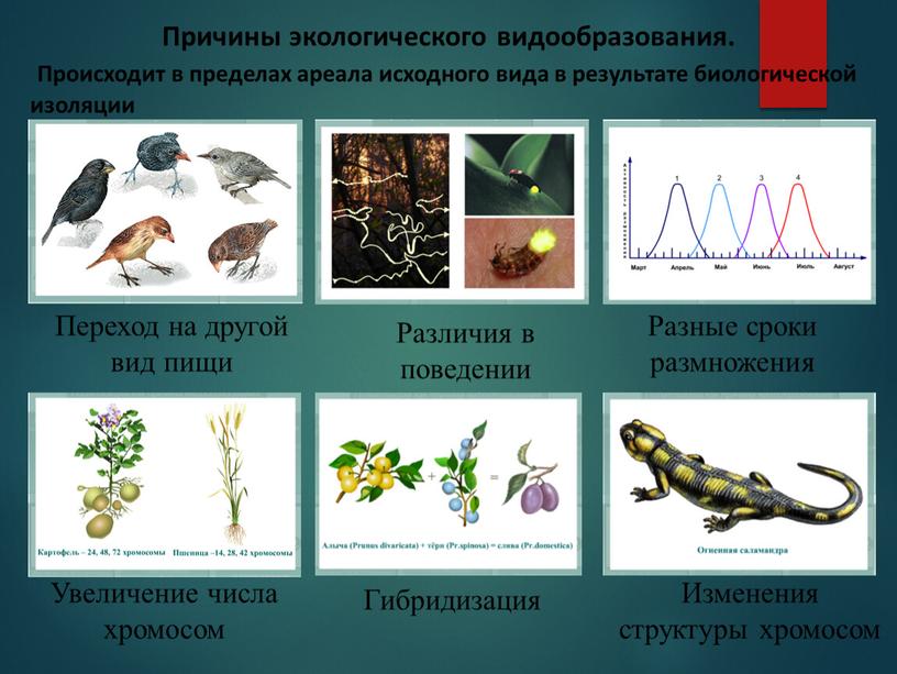 Переход на другой вид пищи Различия в поведении