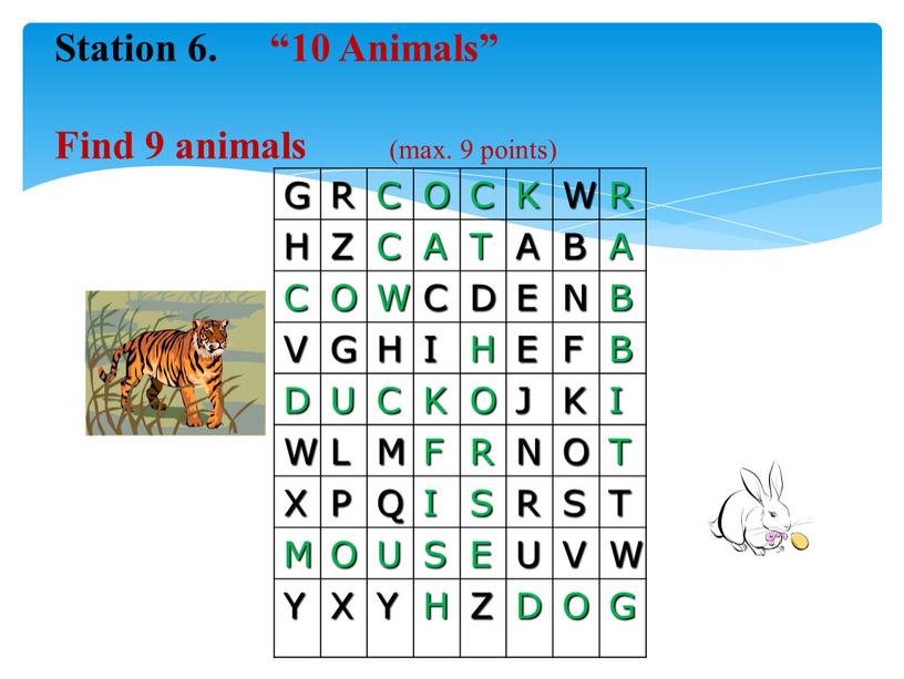 Station 6. “10 Animals”