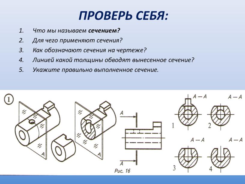 Проверь себя: Что мы называем сечением?