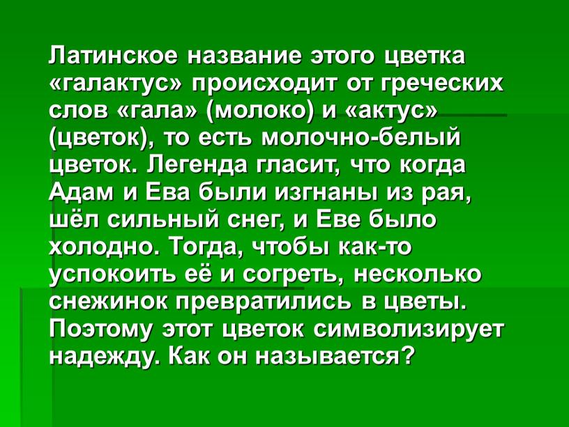 Латинское название этого цветка «галактус» происходит от греческих слов «гала» (молоко) и «актус» (цветок), то есть молочно-белый цветок