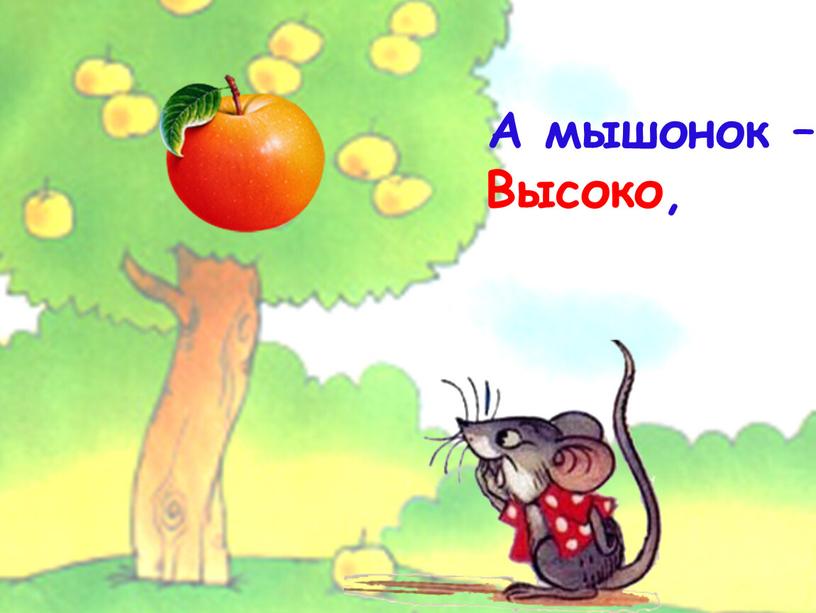 А мышонок – Высоко,