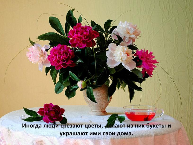 Иногда люди срезают цветы, делают из них букеты и украшают ими свои дома