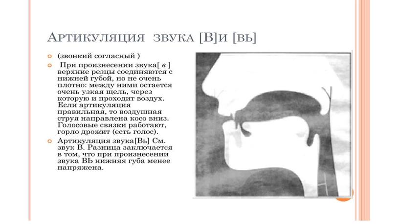 Презентация " Буква В" Обучение чтению