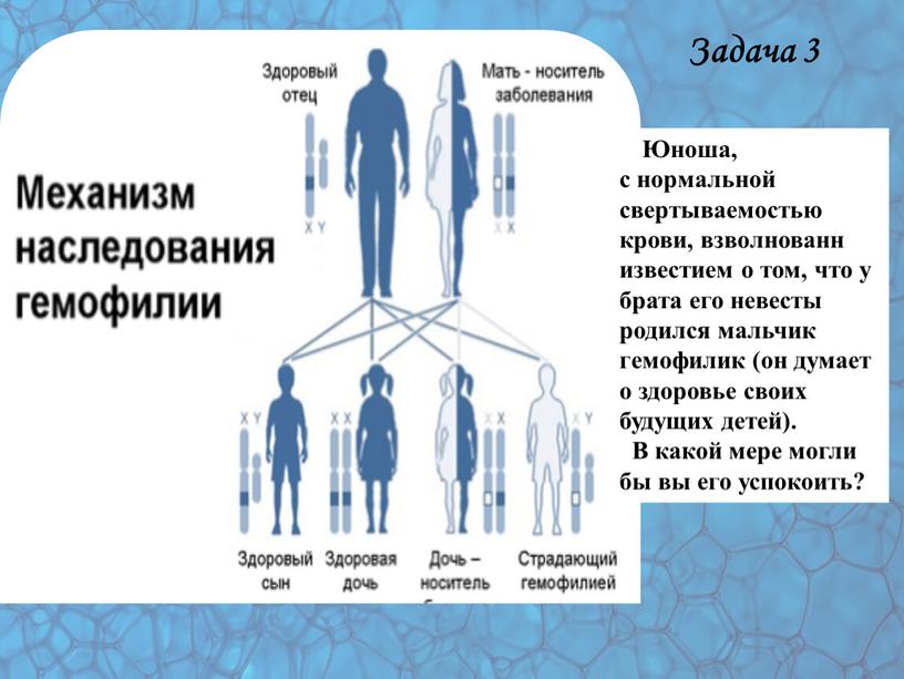 Задача 3 Юноша, с нормальной свертываемостью крови, взволнованн известием о том, что у брата его невесты родился мальчик гемофилик (он думает о здоровье своих будущих…