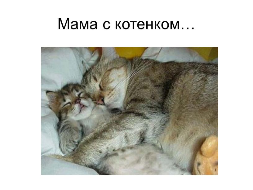 Мама с котенком…