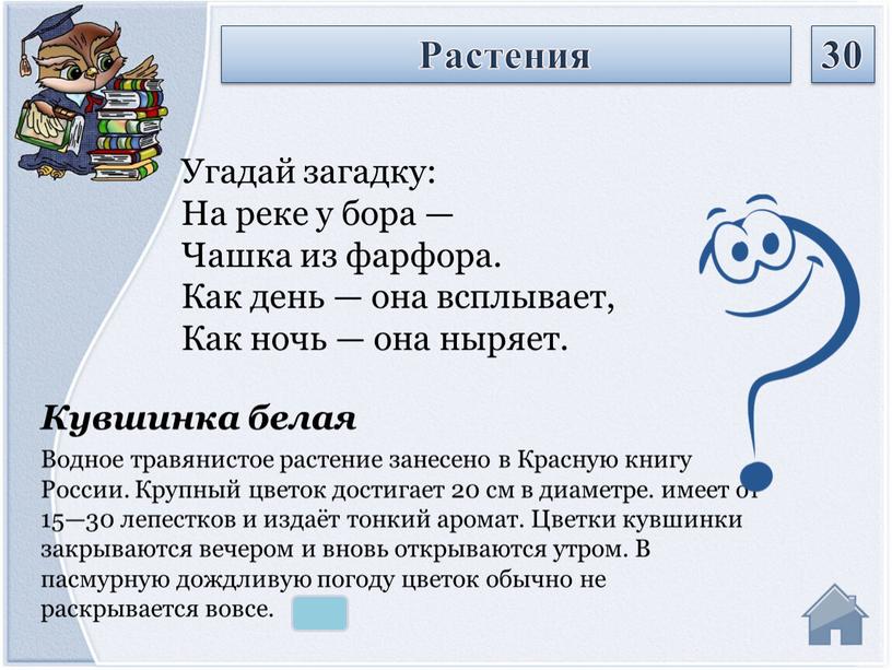 Кувшинка белая Водное травянистое растение занесено в