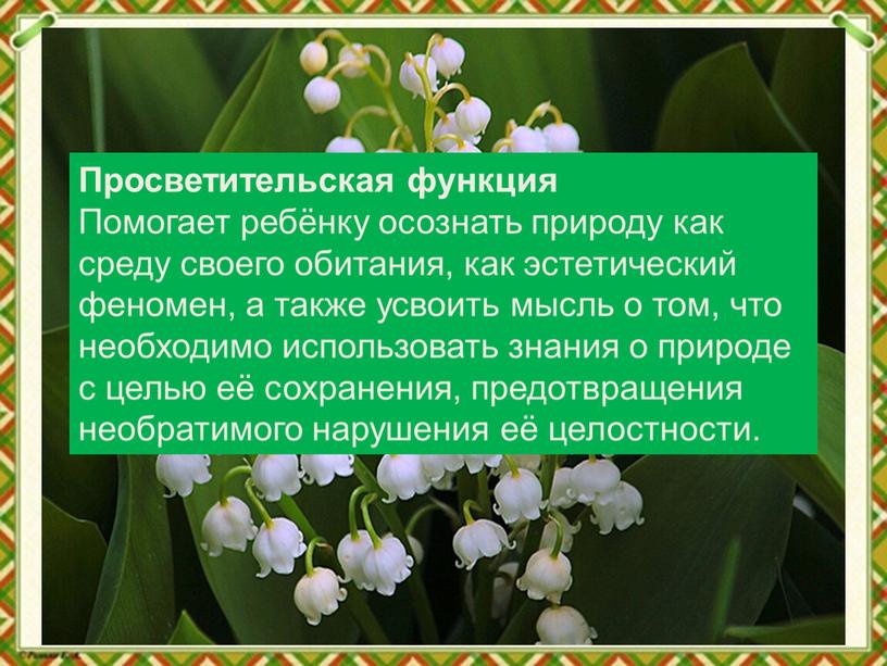 Просветительская функция Помогает ребёнку осознать природу как среду своего обитания, как эстетический феномен, а также усвоить мысль о том, что необходимо использовать знания о природе…