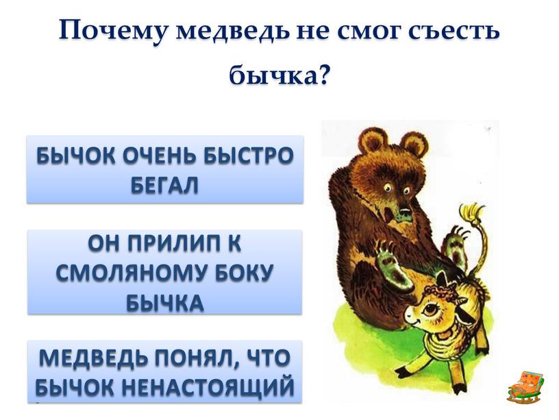 Почему медведь не смог съесть бычка?