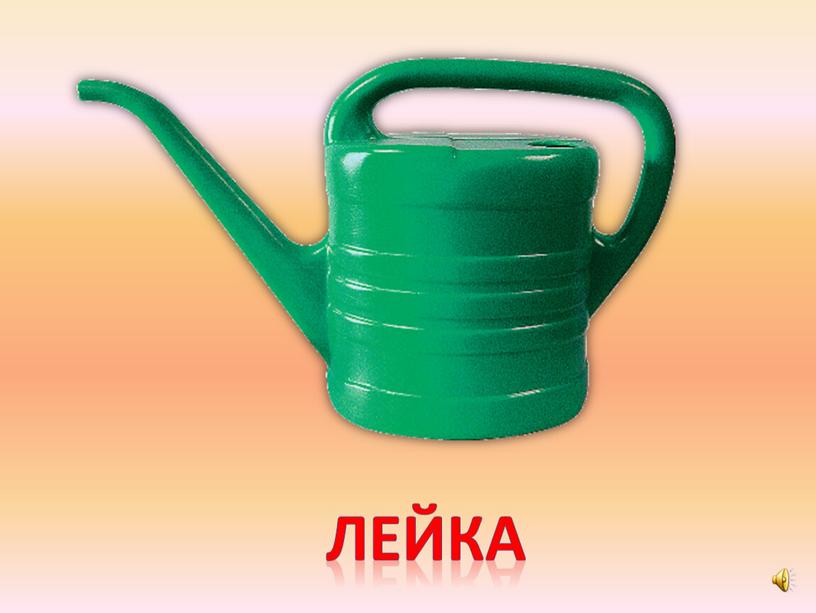 лейка