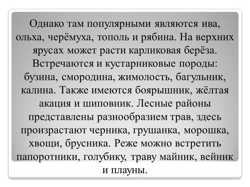 Однако там популярными являются ива, ольха, черёмуха, тополь и рябина