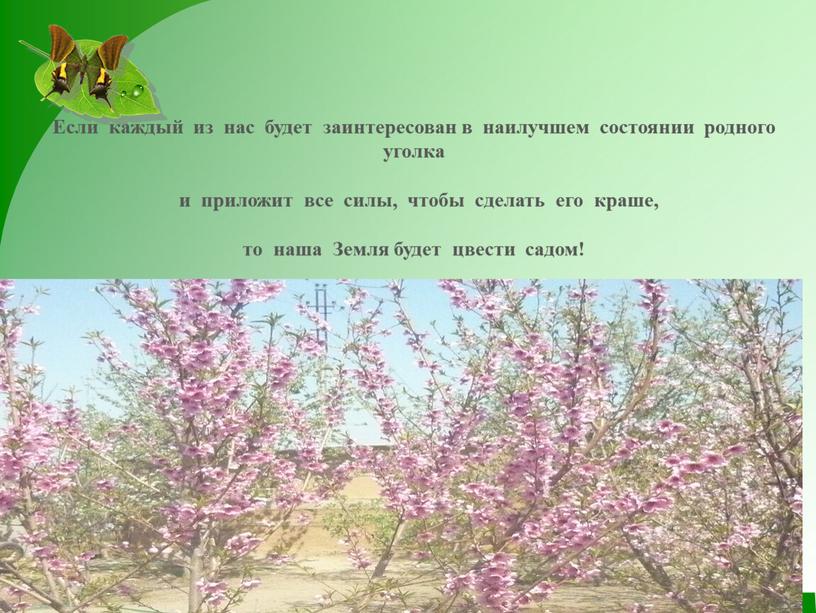 Если каждый из нас будет заинтересован в наилучшем состоянии родного уголка и приложит все силы, чтобы сделать его краше, то наша