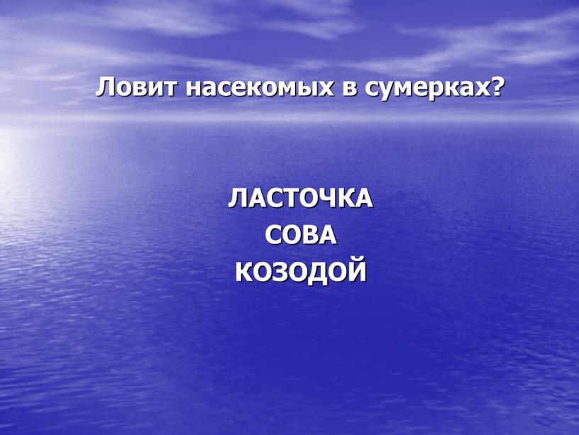 Ловит насекомых в сумерках? ЛАСТОЧКА