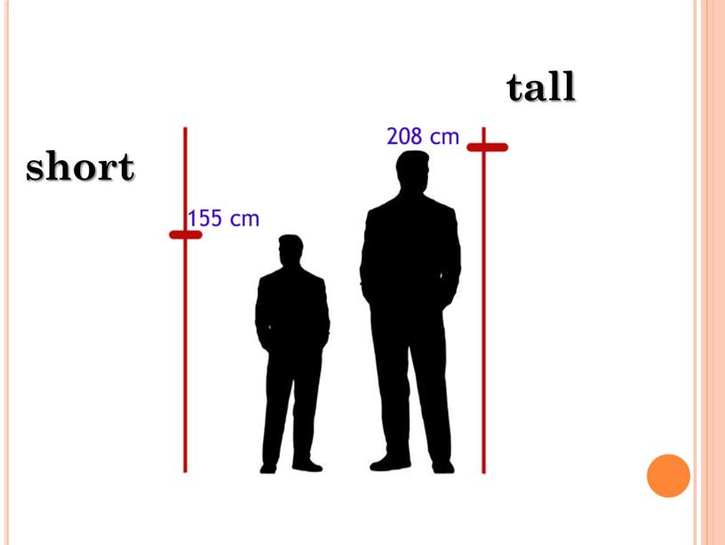 short tall