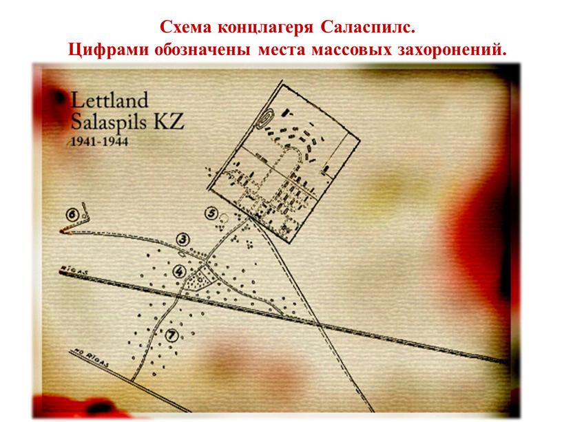 Схема концлагеря Саласпилс. Цифрами обозначены места массовых захоронений