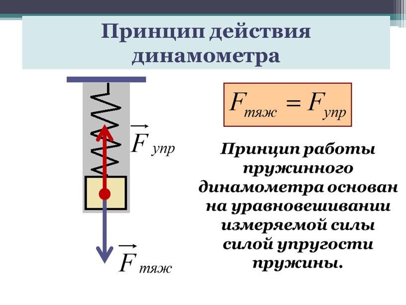 Принцип действия динамометра Принцип работы пружинного динамометра основан на уравновешивании измеряемой силы силой упругости пружины