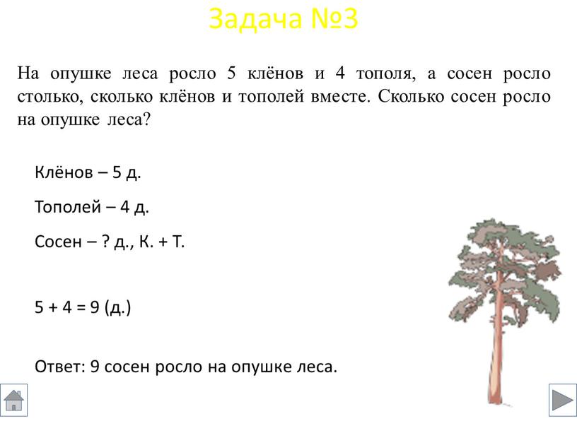 На опушке леса росло 5 клёнов и 4 тополя, а сосен росло столько, сколько клёнов и тополей вместе