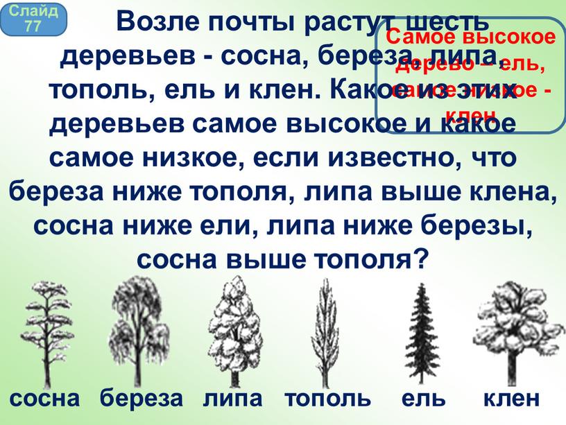 Росла высокая. Возле почты растут 6 деревьев сосна берёза липа Тополь ель и клён. Возле школы растут шесть деревьев сосна. Возле школы растут шесть деревьев сосна береза. Возле школы растут шесть деревьев сосна береза липа Тополь.