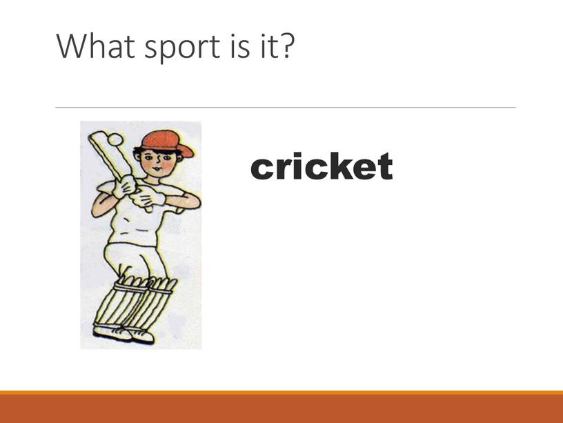 What sport is it? cricket