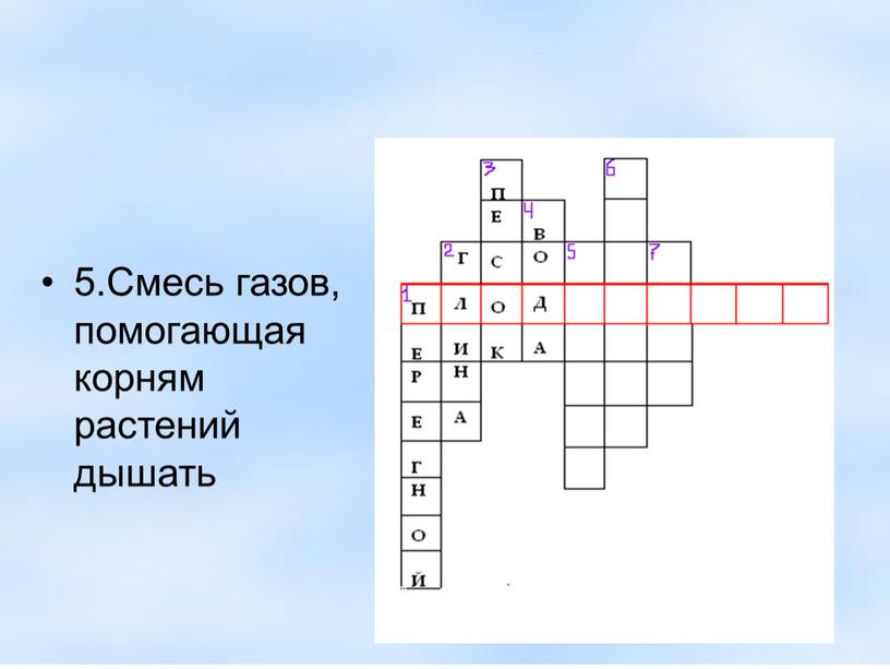 Смесь газов, помогающая корням растений дышать