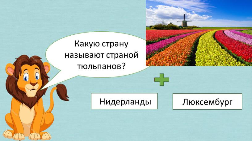 Какую страну называют страной тюльпанов?