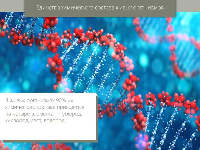 Единство химического состава живых организмов