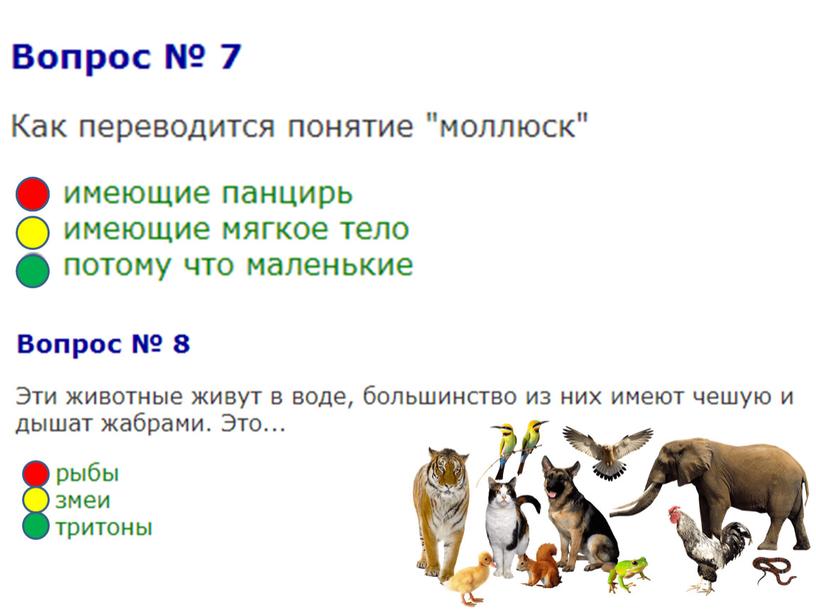 Тестовая работа по теме "Разнообразие животных". Окружающий мир (3 класс)