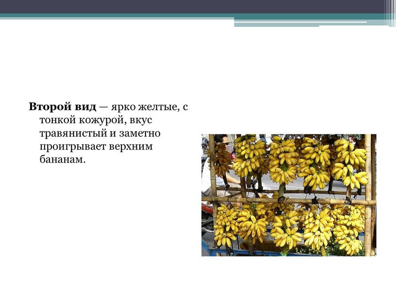 Второй вид — ярко желтые, с тонкой кожурой, вкус травянистый и заметно проигрывает верхним бананам