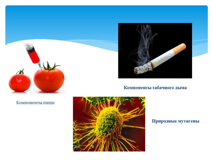 Компоненты пищи Компоненты табачного дыма