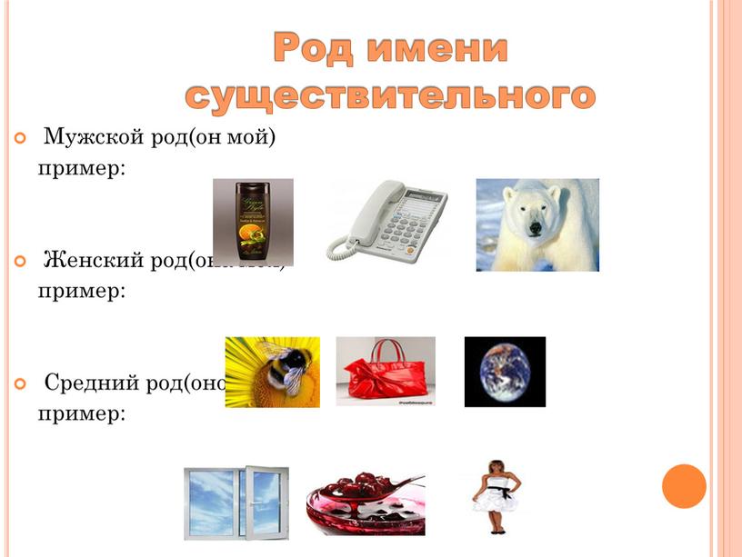 Род имени существительного Мужской род(он мой) пример: