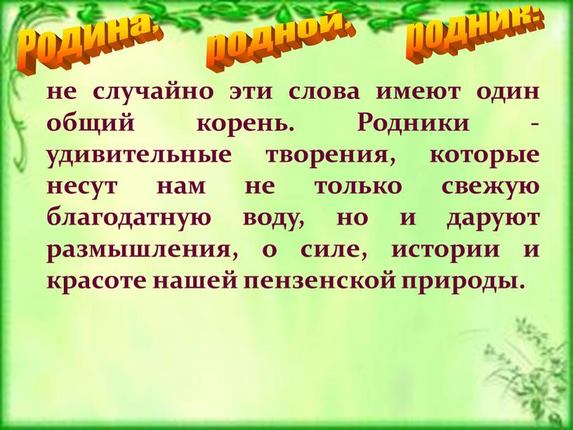 Родники - удивительные творения, которые несут нам не только свежую благодатную воду, но и даруют размышления, о силе, истории и красоте нашей пензенской природы