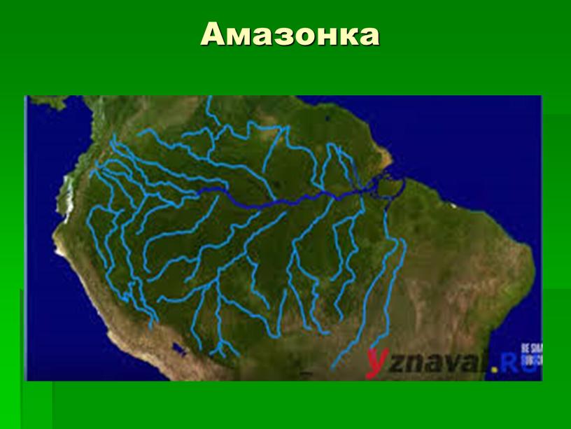 Амазонка