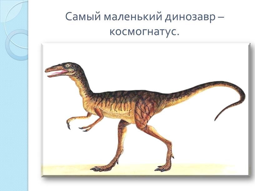 Самый маленький динозавр – космогнатус