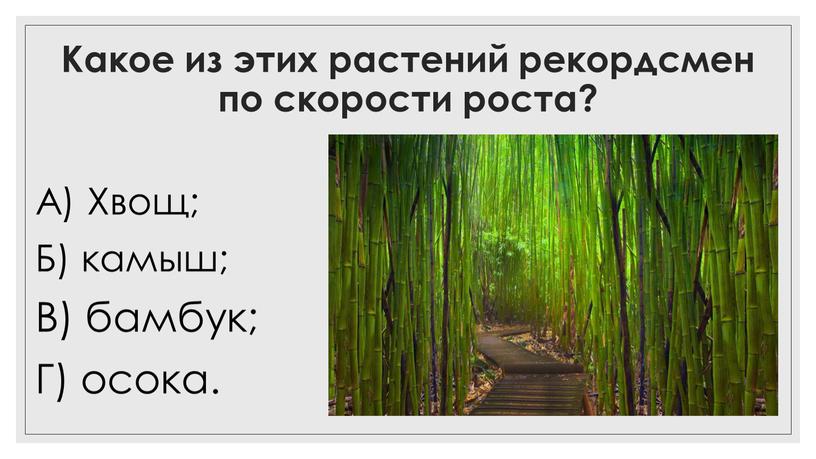 Какое из этих растений рекордсмен по скорости роста?