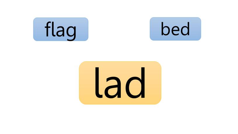 bed flag lad