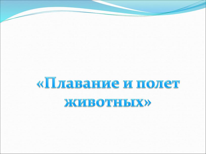 «Плавание и полет животных»