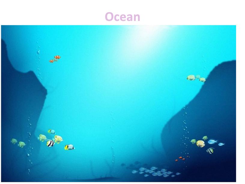 Ocean