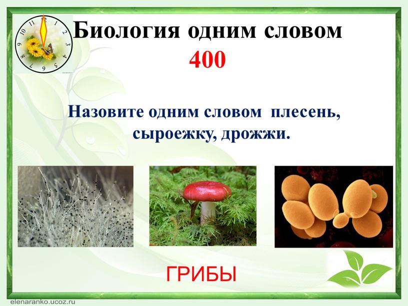 Какая нить в природе самая тонкая. Смотреть фото Какая нить в природе самая тонкая. Смотреть картинку Какая нить в природе самая тонкая. Картинка про Какая нить в природе самая тонкая. Фото Какая нить в природе самая тонкая