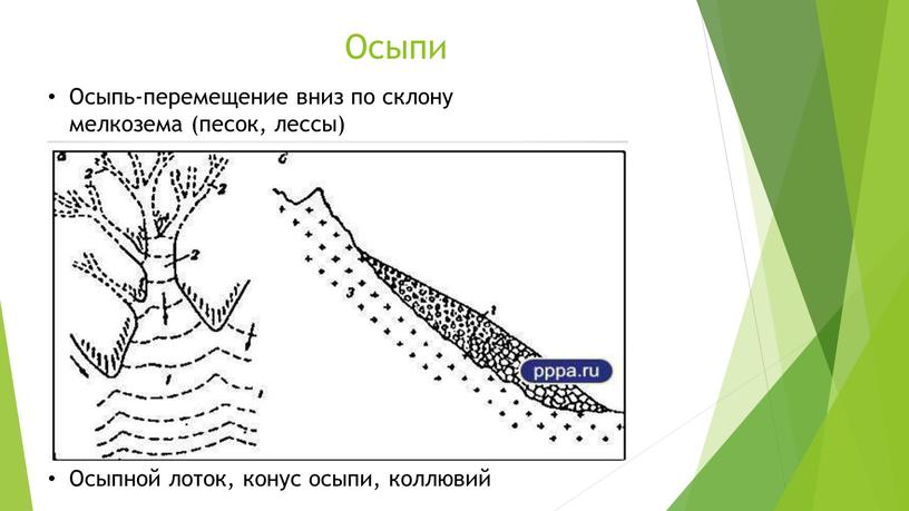 Осыпи Осыпь-перемещение вниз по склону мелкозема (песок, лессы)